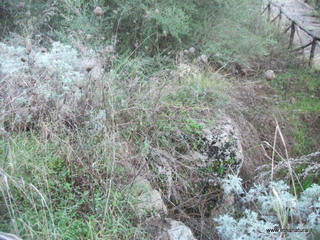stellaccio20-11-2016 16-55-16